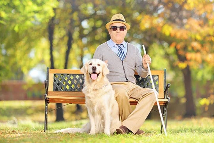 The “A Word” of Email Marketing Accessibility